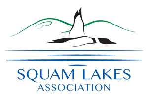 Squam Lakes Association