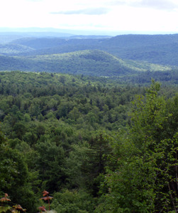 Hogback Mountain Conservation Association