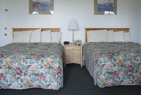 rooms with two queen sized beds near acadia national park