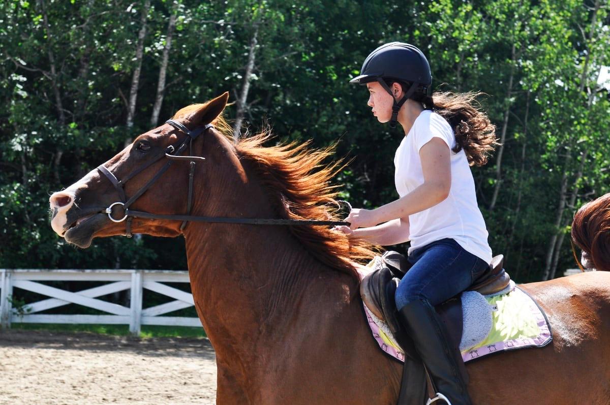 Horseback Riding