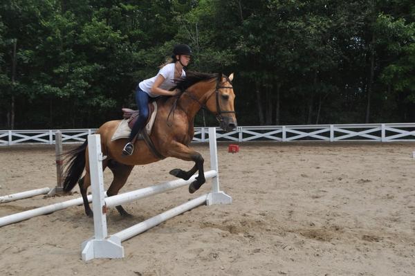 Horseback Riding 4