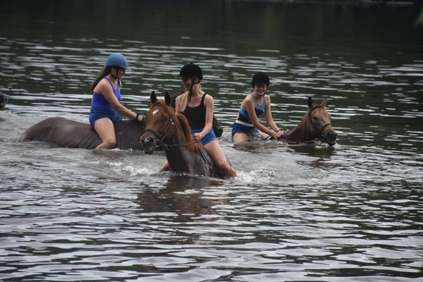 Horseback Riding 11