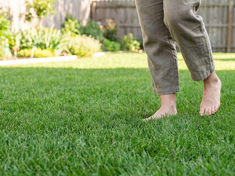 tulsa homeowner walking on lush turf
