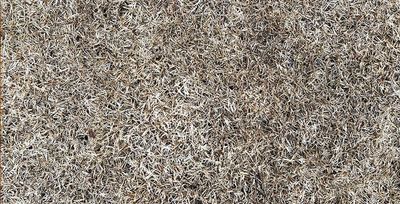 dormant lawn in tulsa oklahoma