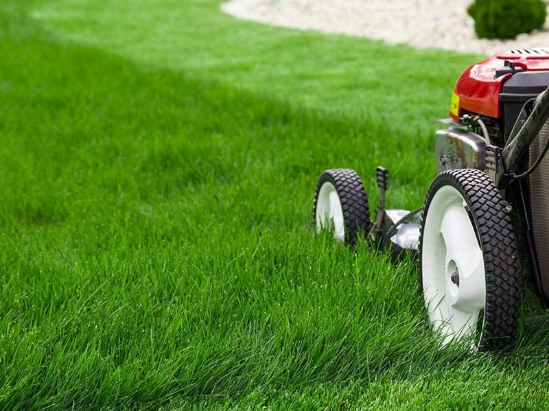 mowing lawn on hot summer day in tulsa