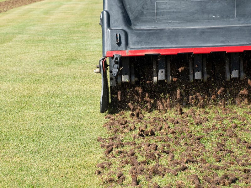 when to aerate your lawn in tulsa