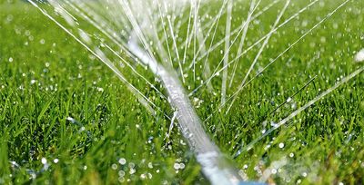 lawn watering in june