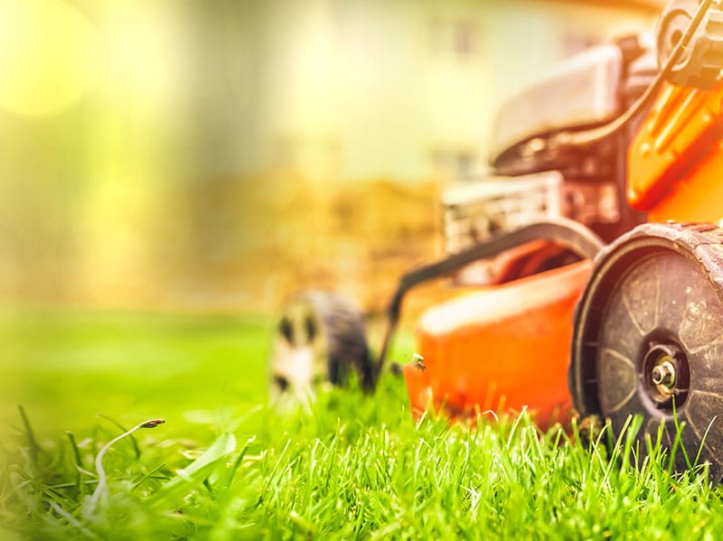 mowing the lawn