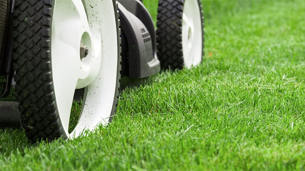 lawn mower cutting grass in tulsa