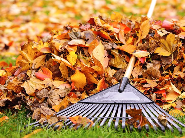 pile of leaves on tulsa lawn