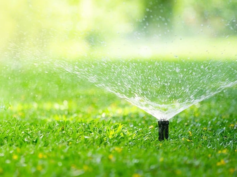 lawn sprinkler in tulsa yard