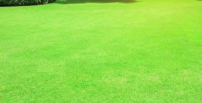 a thick, green lawn in Tulsa