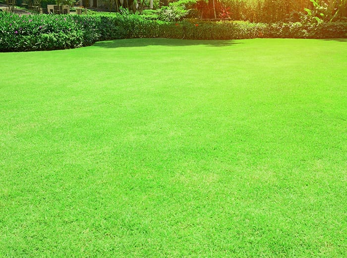 a thick, green lawn in Tulsa