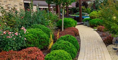 shrubs and trees on tulsa property