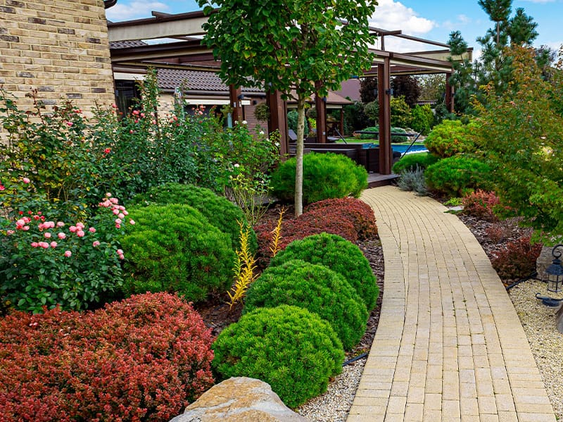 shrubs and trees on tulsa property