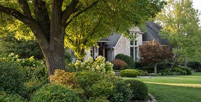 beautiful garden