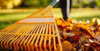 homeowner raking leaves in tulsa ok