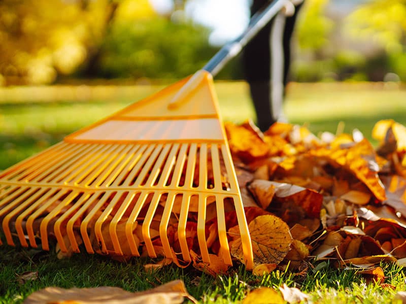 tulsa ok property owner rakes leaves in the fall