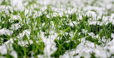 snow covered grass in tulsa oklahoma