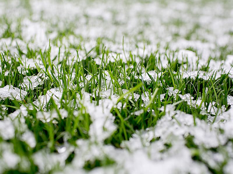 snow covering grass in tulsa, oklahoma