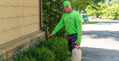 pest tech spraying bushes