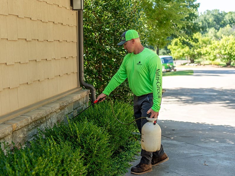 pest tech spraying bushes