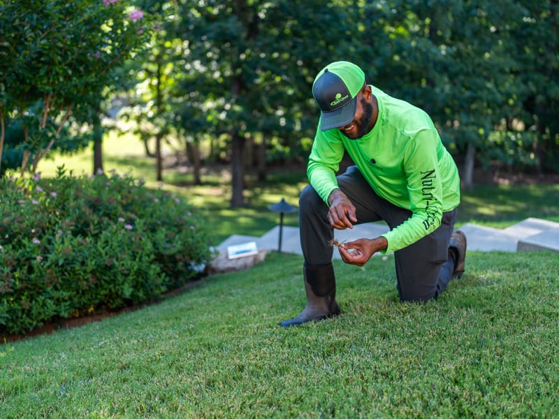 nutri-green lawn care specialist inspecting tulsa lawn