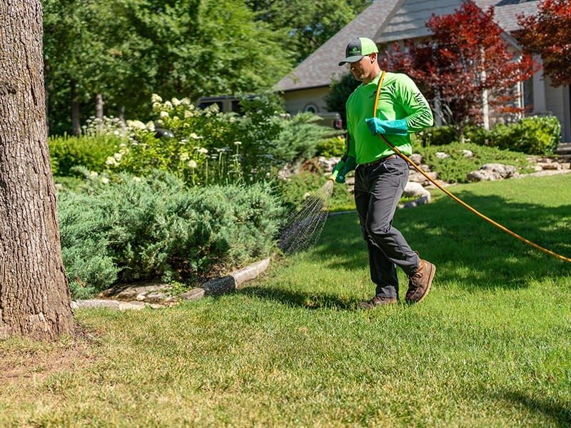 nutrigreen lawn care tech applying hydragreen treatment
