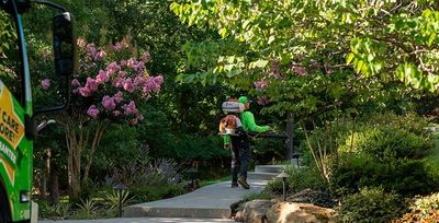 nutri-green tech treating for mosquitoes