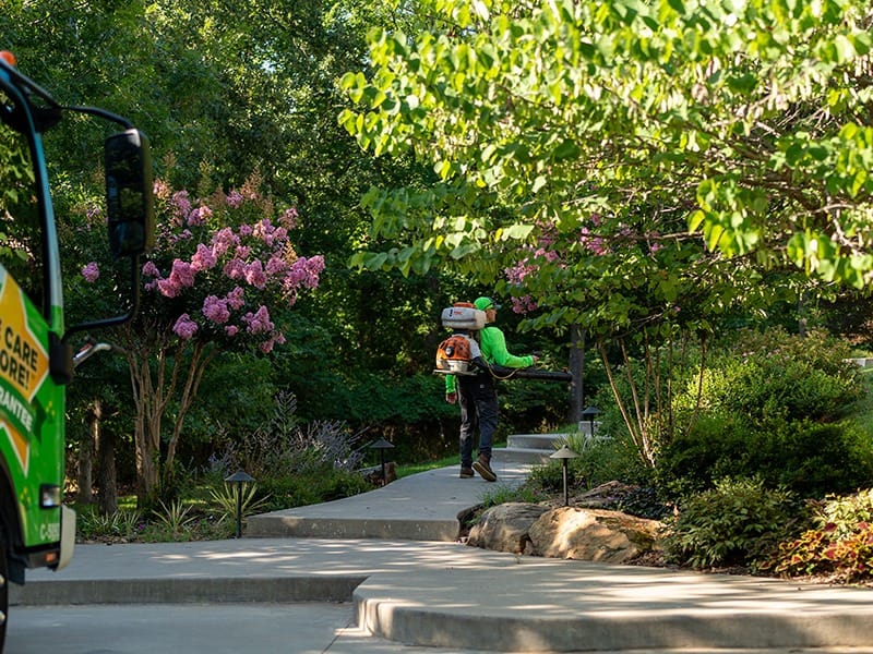 nutri-green tech treating for mosquitoes