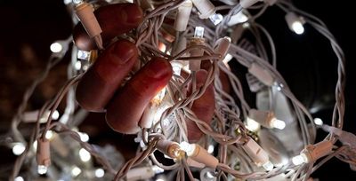 person holding christmas lights