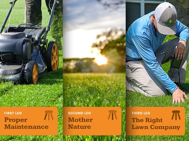 three legged stool approach to lawn care services