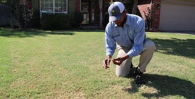 green lawn in tulsa ok