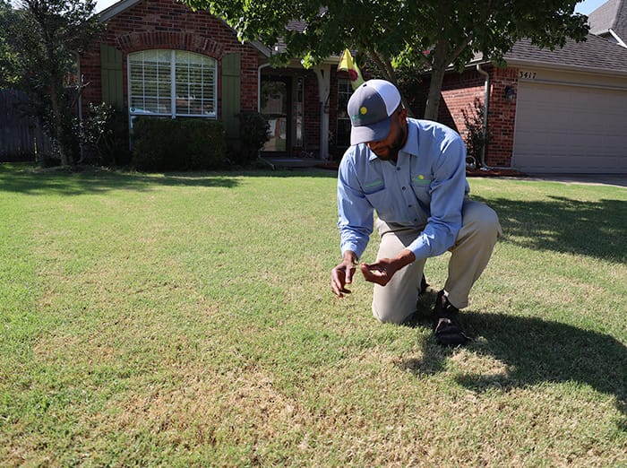 expert lawn care specialist in tulsa