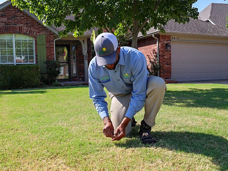 nutri-green lawn care specialist inspecting tulsa lawn