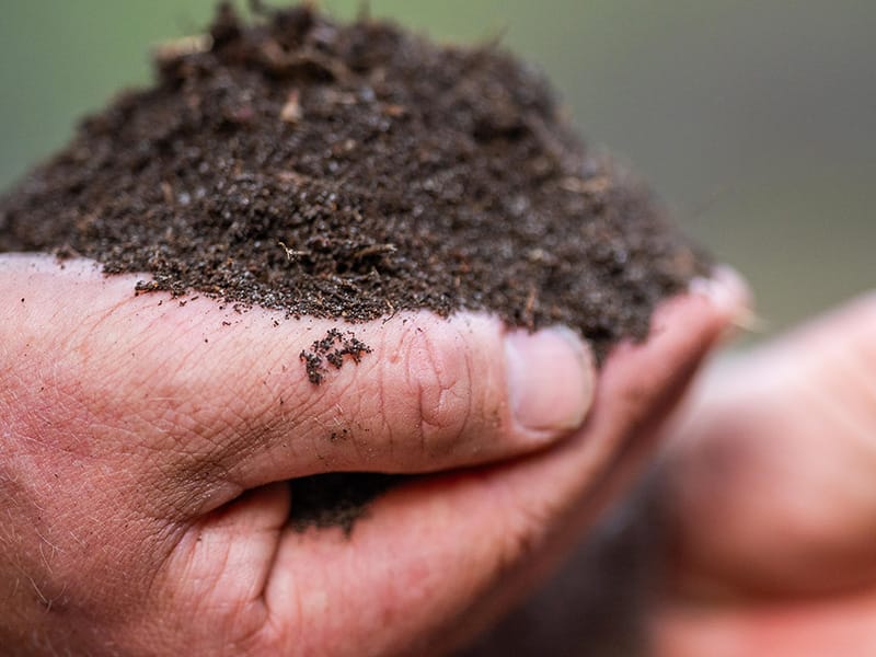tulsa homeowner holding soil in hand