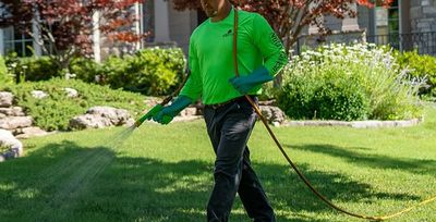 pest technician spraying a lawn