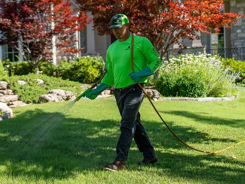 pest technician spraying a lawn