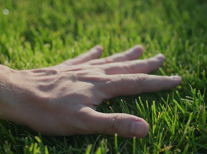 homeowner touching grass